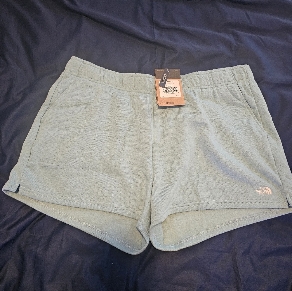 The North Face Sky Blue Casual Shorts